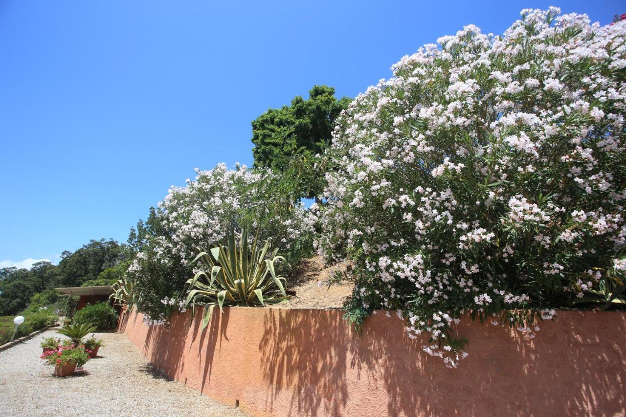 Ca' La Stella Sea-View Apartments Porto Azzurro Exteriör bild